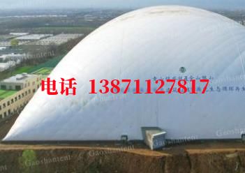雅星镇气膜棚卷帘门,电动门